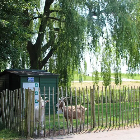 Deluxe Canal-side Stay, Cleaning Included
